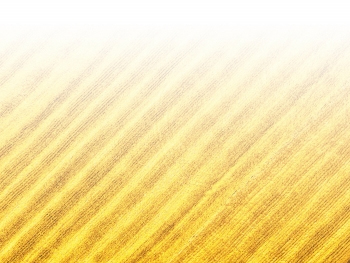 智能農(nóng)機(jī)、“訂單”服務(wù)、“云端”種菜——來自江西的春耕“新事”